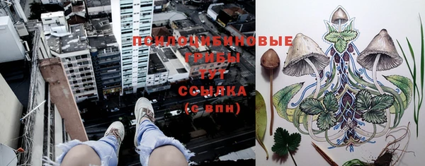 метадон Ладушкин