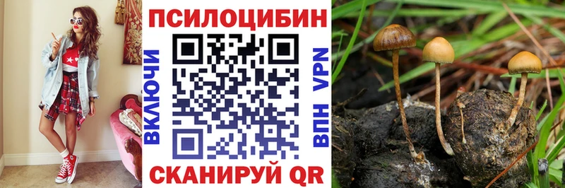Псилоцибиновые грибы MAGIC MUSHROOMS  Купить где  Закаменск 