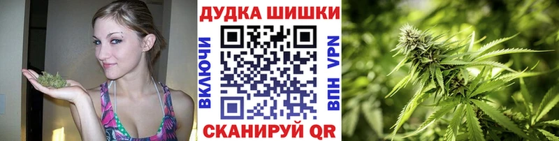 Купить закладки  Закаменск  Конопля планчик 